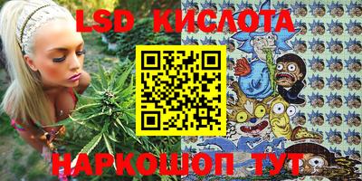 сатива Камышлов