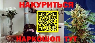 сатива Камышлов