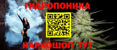 сатива Камышлов