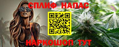 сатива Камышлов