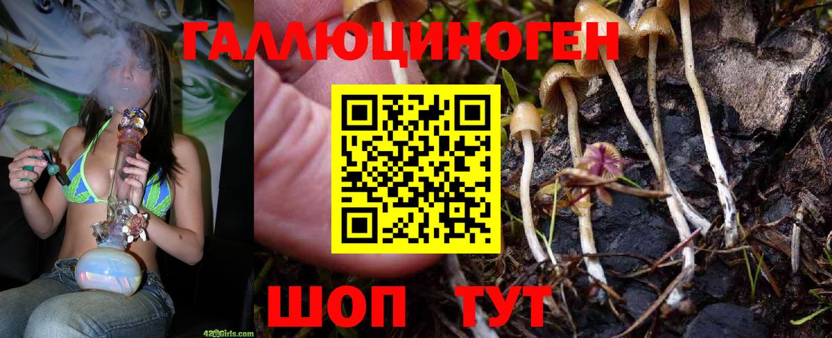 Кетамин  ЭКСТАЗИ  Меф МЯУ МЯУ кристаллы  Вход с VPN  Кудымкар  Конопля 